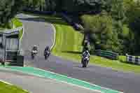 Middle Group Black Bikes